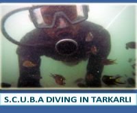 SCUBA Diving in Tarkarli SCUBA Diving in Tarkarli