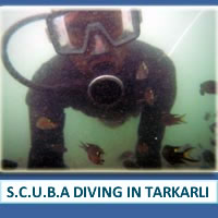 SCUBA Diving in Tarkarli