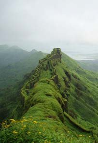Rajgad Forts Rajgad Forts